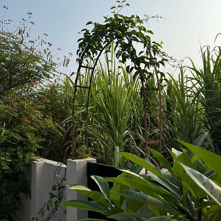 The Bougainvillea Cottage Farmstay Near Dehradun , 2 Bedroom Private Cottage Next To Fields And Orchards With Hill Views Luaran gambar