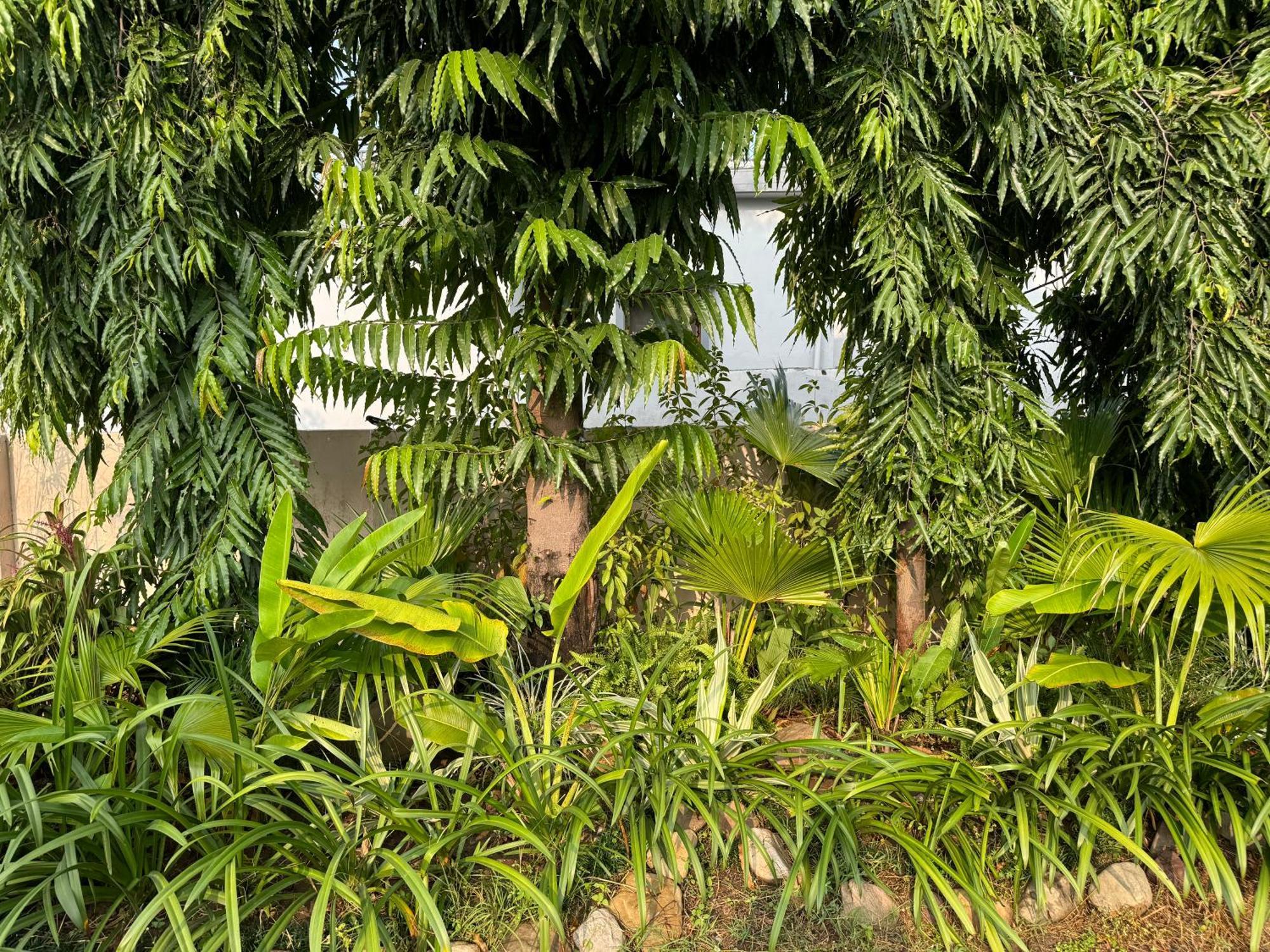 The Bougainvillea Cottage Farmstay Near Dehradun , 2 Bedroom Private Cottage Next To Fields And Orchards With Hill Views Luaran gambar