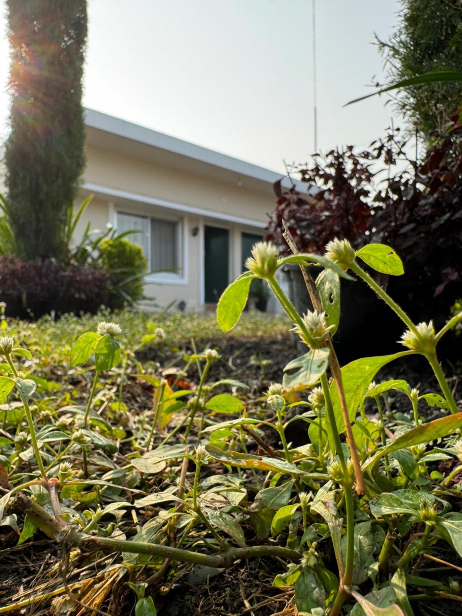 The Bougainvillea Cottage Farmstay Near Dehradun , 2 Bedroom Private Cottage Next To Fields And Orchards With Hill Views Luaran gambar